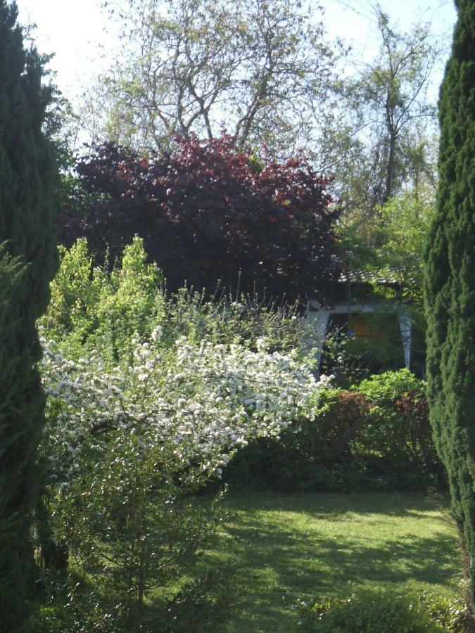 Hotel La Rose Tremiere Wintzenheim-Kochersberg Zewnętrze zdjęcie
